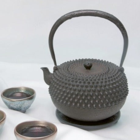 Ōarare Mon Ubaguchi Maru Gata Shape Japan  Satetsu Tetsubin Iron Kettle by Koizumi Nizaemon XI
