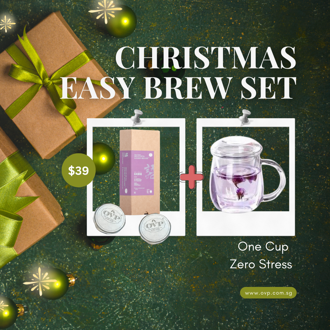 Christmas Easy Brew Set