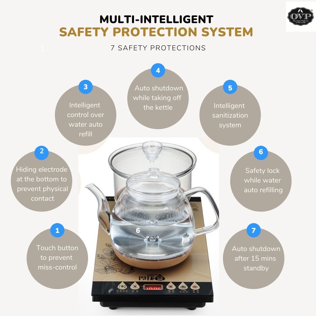 Intelligent Electrical Boiler set with Sanitizer