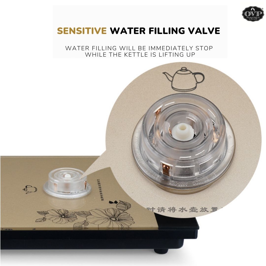 Intelligent Electrical Boiler set with Sanitizer