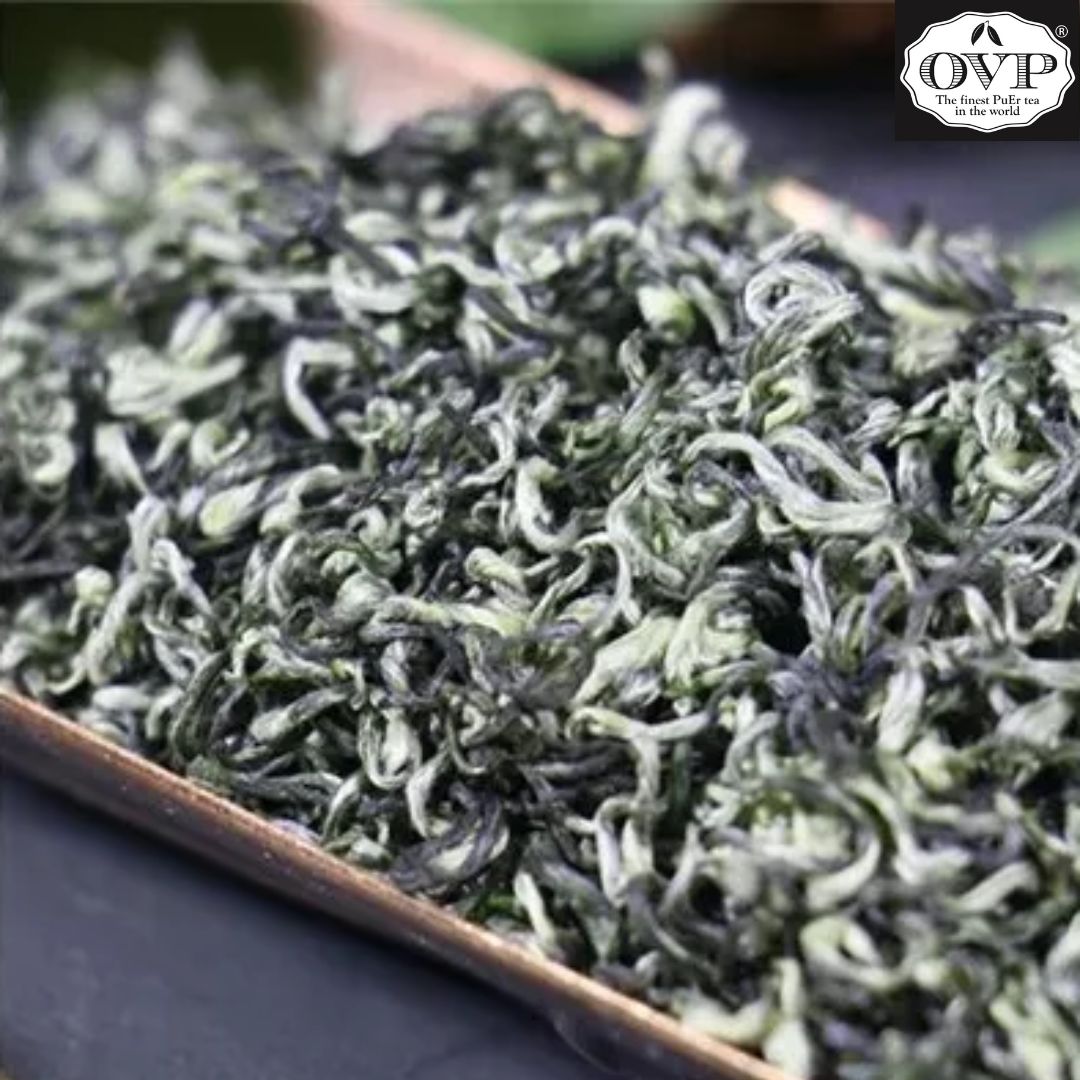 Bi Luo Chun 2024 First Harvest (Truly Rare and Special) Premium Green Tea, Limited Stock