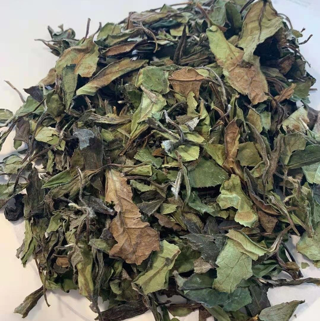 White Fairy™ OVP Fu Ding white tea, 1842 Shou Mei Loose Tea in Tin