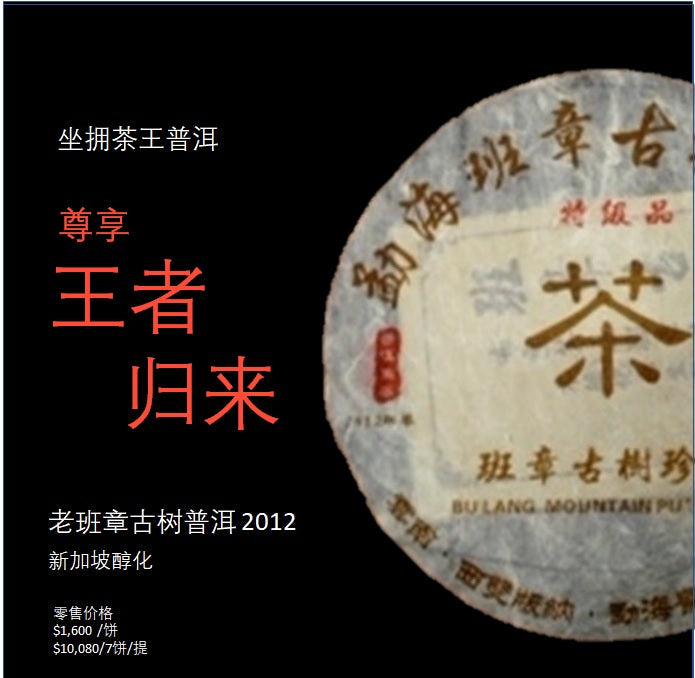 King of PuErh – Lao Ban Zhang 老班章 by LZGC