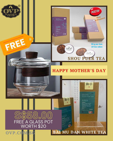 Mother's Day Promo 2024