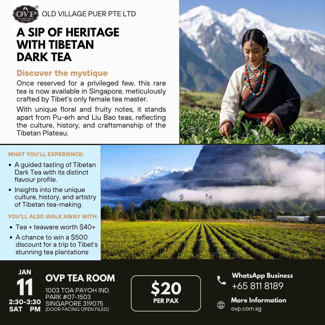 Tea Appreciation Workshop -Tibet Dark Tea