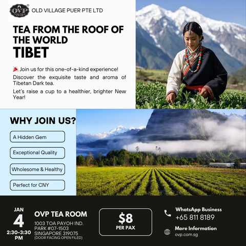 Tea Appreciation Workshop -Tibet Dark Tea