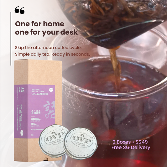 Daily Tea Refill Pair — GOLDEN MELODY® Shou Pu-erh Mini Tea Cakes