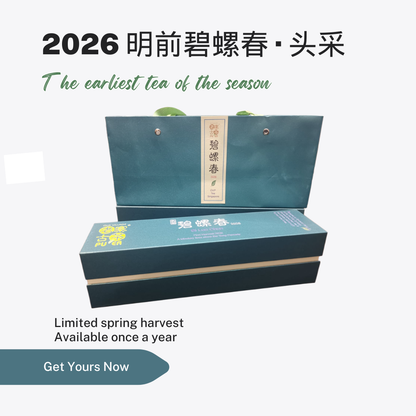2026 First Harvest Bi Luo Chun Spring Tea, Without the Complication