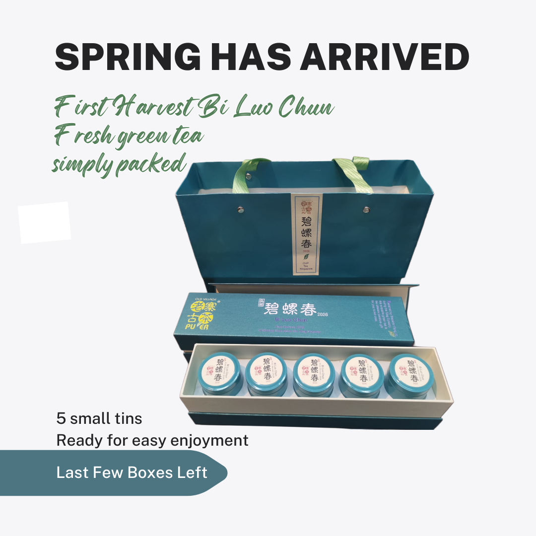 2026 First Harvest Bi Luo Chun Spring Tea, Without the Complication
