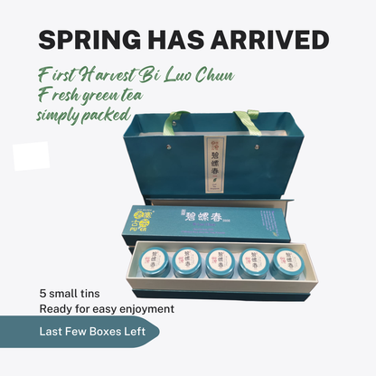 2026 First Harvest Bi Luo Chun Spring Tea, Without the Complication
