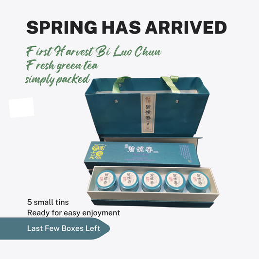 2026 First Harvest Bi Luo Chun Spring Tea, Without the Complication