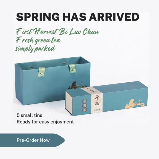 2026 First Harvest Bi Luo Chun Spring Tea, Without the Complication