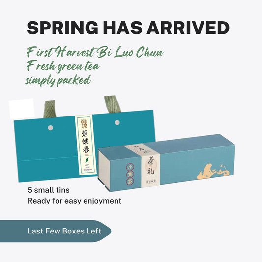 2026 First Harvest Bi Luo Chun Spring Tea, Without the Complication