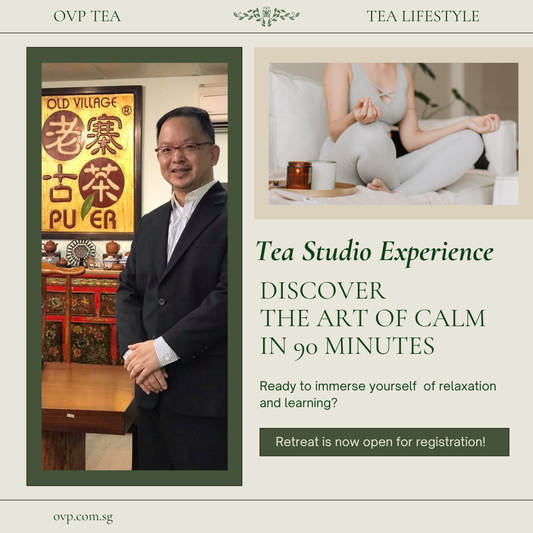Tea Studio Experience – Discover the Art of Calm in 90 Minutes
