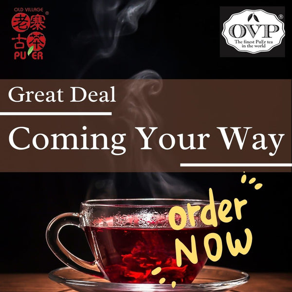 BEAUTY 6-mth OVP Tea Subscription Plan