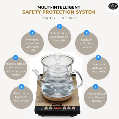 Intelligent Electrical Boiler set with Sanitizer