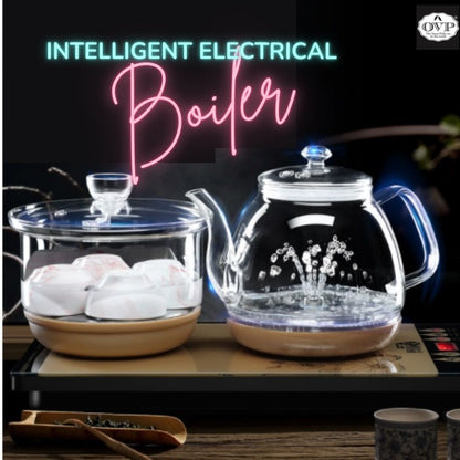 Intelligent Electrical Boiler set with Sanitizer