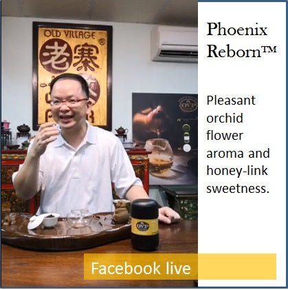 Phoenix Reborn® Award-Winning Old Village Oolong Dancong Tea - OVP Tea