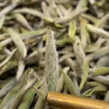 Silver Fairy™ OVP Fu Ding white tea, 1812 White Hair Silver Needles White Tea, loose Tea in Tin